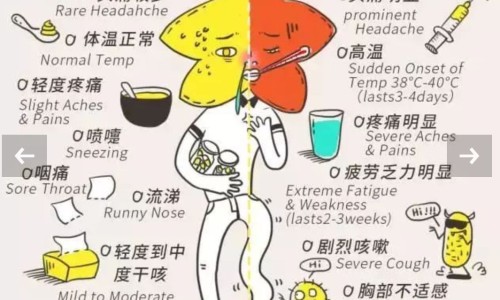 怀孕期间能按摩肩颈吗视频-怀孕期间能按摩肩颈吗网 :分享怀孕期间能按摩肩颈吗视频-孕妇能按肩膀和颈椎吗知识