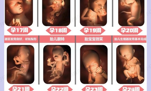 怀孕可以按肩膀脖子吗-怀孕期间能按摩肩颈吗网 :分享怀孕期间能按摩肩颈吗视频-孕妇能按肩膀和颈椎吗知识