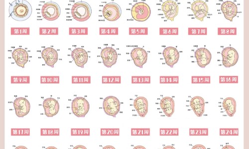 怀孕期间能按摩肩颈吗网 :分享怀孕期间能按摩肩颈吗视频-孕妇能按肩膀和颈椎吗知识