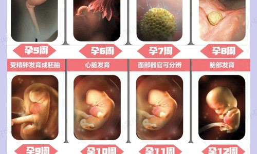 怀孕了可以按摩肩颈吗有影响吗-怀孕期间能按摩肩颈吗网 :分享怀孕期间能按摩肩颈吗视频-孕妇能按肩膀和颈椎吗知识